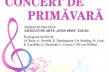 Concert de primavara